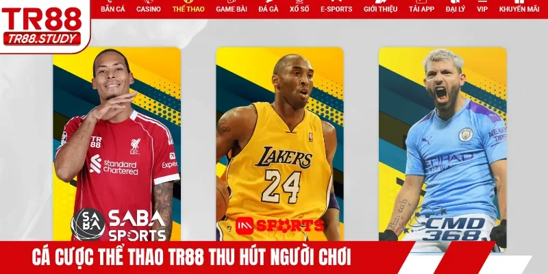 Cá cược thể thao TR88 thu hút người chơi