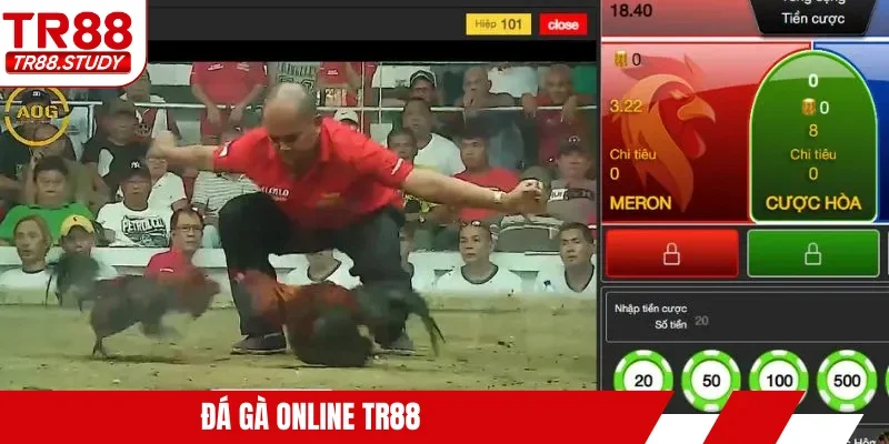 Đá gà online TR88