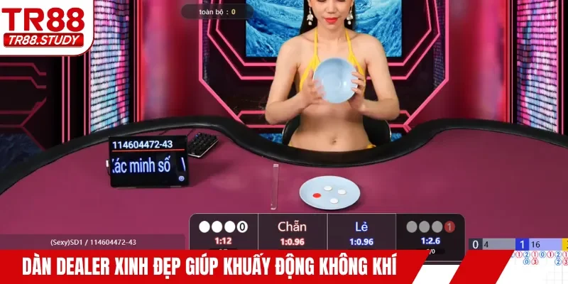 Dàn dealer xinh đẹp giúp khuấy động không khí