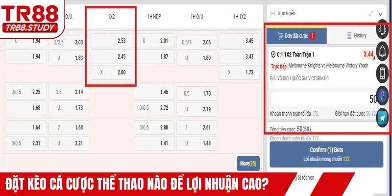 Đặt kèo cá cược thể thao nào để lợi nhuận cao?