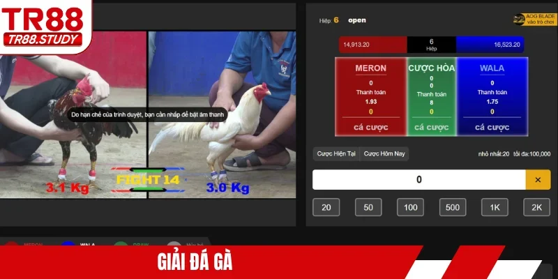 giải đá gà