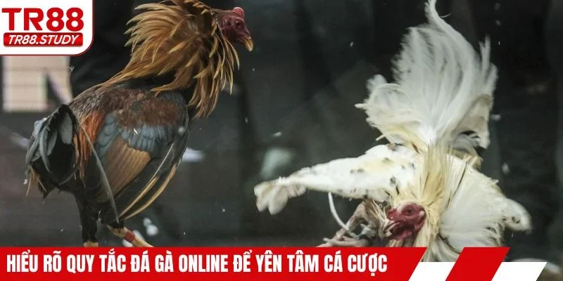 Hiểu rõ quy tắc đá gà online để yên tâm cá cược