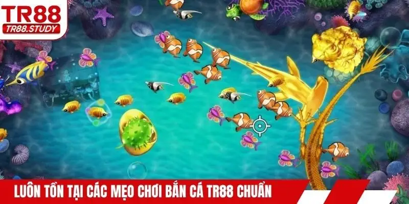 Luôn tồn tại các mẹo chơi bắn cá TR88 chuẩn