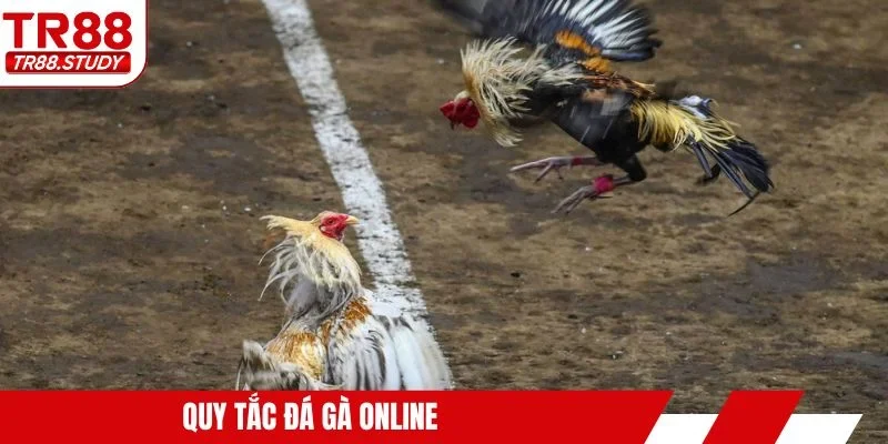 Quy tắc đá gà online