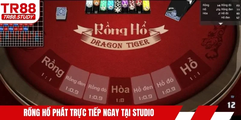 Rồng Hổ phát trực tiếp ngay tại studio