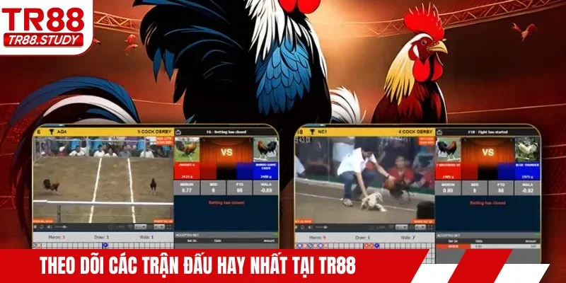 Theo dõi các trận đấu hay nhất tại TR88