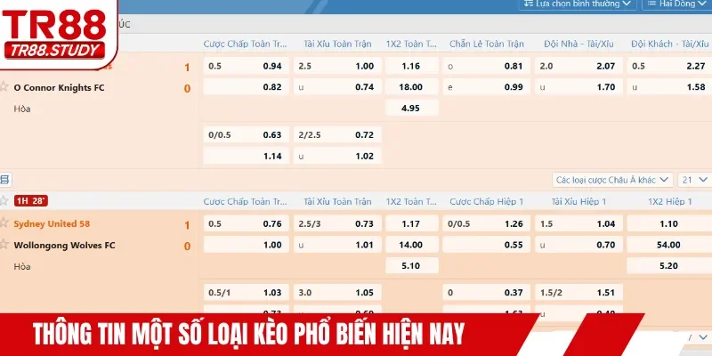 Thông tin một số loại kèo phổ biến hiện nay