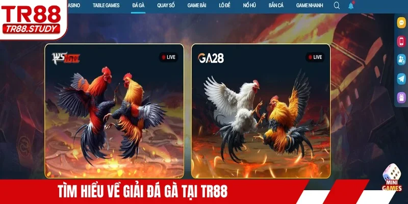 Tìm hiểu về giải đá gà tại TR88