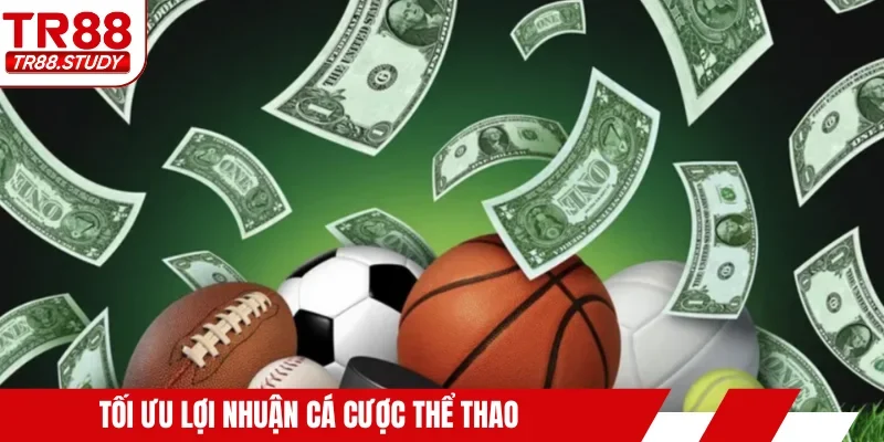 Tối ưu lợi nhuận cá cược thể thao