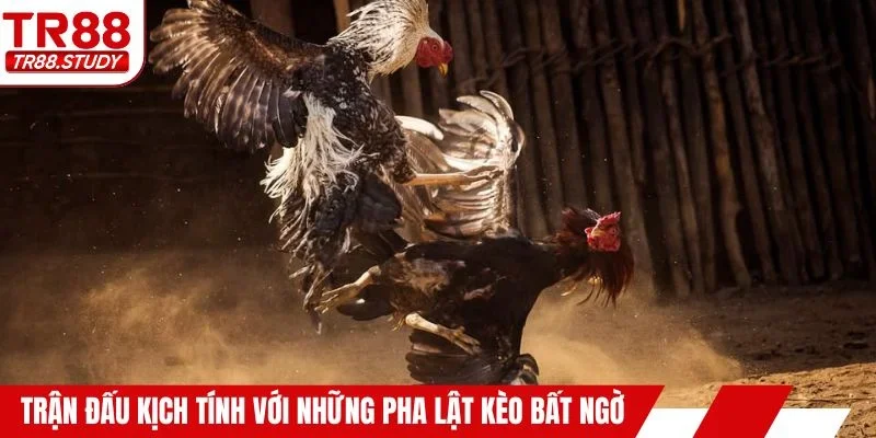 Trận đấu kịch tính với những pha lật kèo đầy bất ngờ